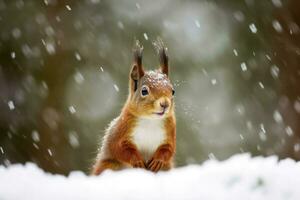 Red squirrel in the falling snow. Cute squirrel sitting in the snow covered with snowflakes. Winter background. Generative AI photo