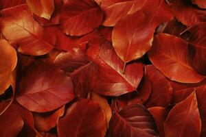 Texture of autumn leaves. Fall leaves for an autumn background. Generative AI photo