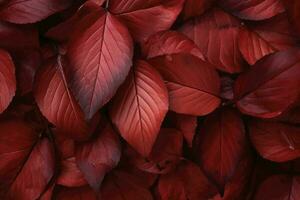 textura de otoño hojas. otoño hojas para un otoño antecedentes. generativo ai foto