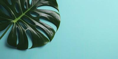 Tropical leaves monstera on cyan background. Empty space flat lay. Creative minimal summer concept. Generative AI photo