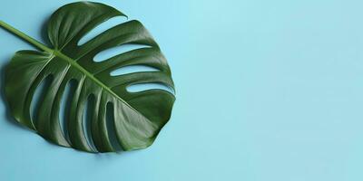 Tropical leaves monstera on cyan background. Empty space flat lay. Creative minimal summer concept. Generative AI photo