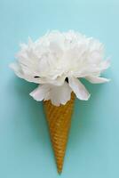 white flower in waffle ice cone.Peony bouquet ice cream on blue background.Floral greeting card for Mothers day, birthday.Tender cover design and accessories print. photo
