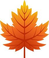 Maple leaf vector icon for autumn celebration. Fall season maple icon for cozy or hygge design graphic. Autumn leaf vector for symbol, sign, decoration or graphic resource. Mid autumn festival icon