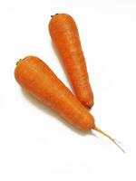 fresh carrot on a white background photo