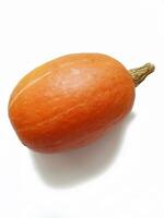 orange pumpkin on white background photo