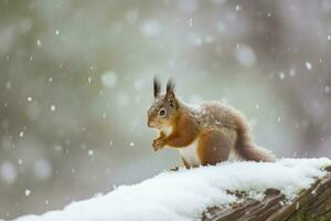 Red squirrel in the falling snow. Cute squirrel sitting in the snow covered with snowflakes. Winter background. Generative AI photo