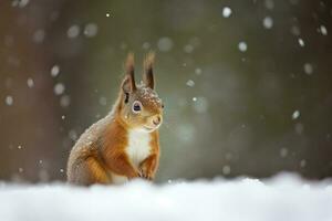 Red squirrel in the falling snow. Cute squirrel sitting in the snow covered with snowflakes. Winter background. Generative AI photo