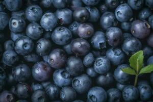 Texture of blueberry. Close up of raw organic berry fruits. Sweet and fresh background. Generative AI photo