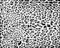 Abstract animal skin leopard, cheetah and jaguar seamless pattern design. Black and white seamless camouflage background. vector