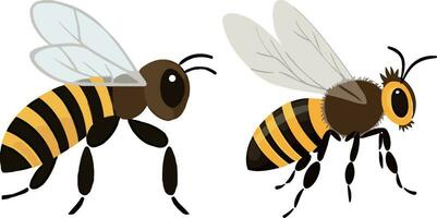 vector bee, white background , isolated , illustration minimal clipart vector style