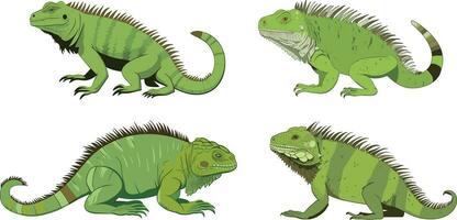 Iguana reptile illustration simple hand drawn style illustration, white background vector