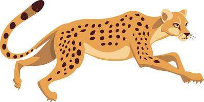 vector leopardo o leopardo plano Arte ilustración