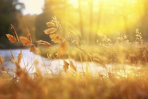 Art autumn sunny nature background. Generative AI photo
