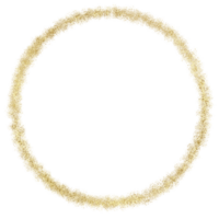 Gold Kreis Rand png