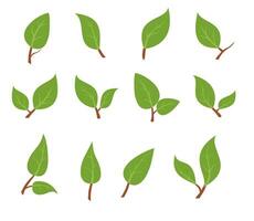 Leaves icon vector set isolated on white background. Fresh spring foliage. Environment and ecology backdrop. Vector Illustration