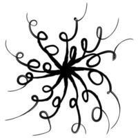 Abstract silhouette of black curl in circle element for decoration vector