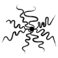 Abstract silhouette of a twisting black curl in a circle element for decoration vector