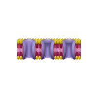 Mechanismen Transport Ionen ai generativ png