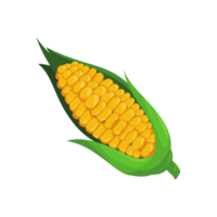 Corn On The Cob Maize Crop  AI Generative png