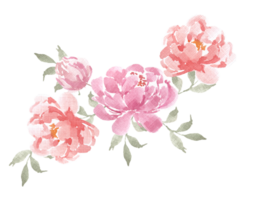 roze en rood pioen waterverf bloem arrangement png