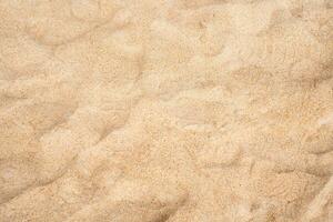 Sand texture background. Close up of beach sand background. Top view. photo