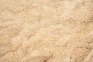 Sand texture background. Close up of beach sand background. Top view. photo