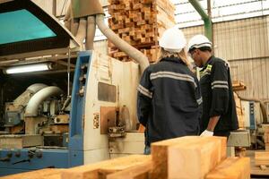 Both workers work in a woodworking factory, Working with wood sawing and cutting machines to produce wooden sheets for making pallets photo