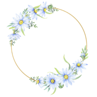 Gold frame, wreath with  chamomile flowers. Floral round border of daisies, watercolor illustration png