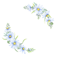 watercolor wreath with chamomile flowers. Floral round border of daisies. png