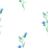 cornflowers. seamless watercolor pattern with blue flowers. Watercolor illustration for fabric, textile, wrapping and wallpaper png