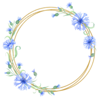 Golden wreath, round frame with cornflower flowers . watercolor illustration with blue flowers png