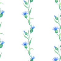 cornflowers. seamless watercolor pattern with blue flowers. Watercolor illustration for fabric, textile, wrapping and wallpaper png