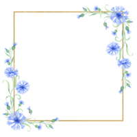 Gold frame with cornflower flowers . watercolor illustration with blue flowers png