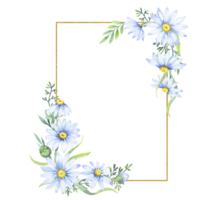Gold square frame with apothecary chamomile flowers. Floral border of daisies, watercolor illustration png
