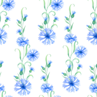 centáureas. desatado aguarela padronizar com azul flores aguarela ilustração para tecido, têxtil, invólucro e papel de parede png