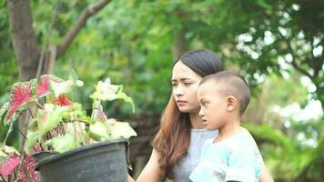 madre enseñando niños a tomar cuidado de plantas video