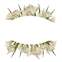 Aquarell Gladiolen. Blumen- Oval Banner, Rahmen mit Weiß Blumen, Knospen und Blätter Hand gemalt Illustration botanisch Design zum Hochzeit Einladungen und Gruß Karten png