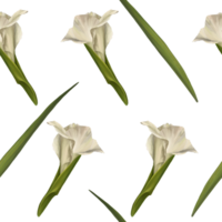 Aquarell Gladiolen Pflanze nahtlos Muster, Hand gezeichnet Digital Blumen- Illustration von Blumen und Blätter. wiederholen Design zum drucken, Hintergrund, Verpackung Papier, Textil- png