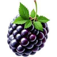 Realistic fresh blackberry. AI Generative png