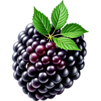 Realistic fresh blackberry. AI Generative png