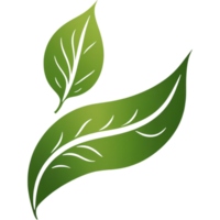 Hand drawn green leaves logo. AI Generative png