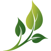 Hand drawn green leaves logo. AI Generative png