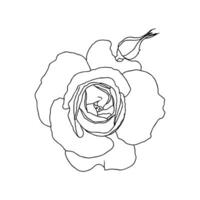 A line drawing of rose flower isolated on white background. Hand drawn sketch, vector illustration. Decorative element for tattoo, greeting card, wedding invitation, coloring book