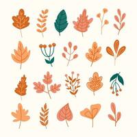 conjunto de otoño elementos.otoño hojas.caen.mano dibujado otoño hojas vector