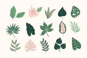 Modern tropical leaves set. Monstera ,palm,bananas leaves vector