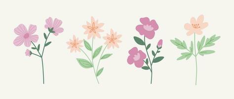 Set of modern floral elements.Flower and green leaves.Hand draw botanical. vector