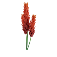 lindo flor 3d render clipart png