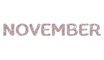 wit schitteren november brieven icoon. november teken. ontwerp voor decoreren, achtergrond, behang, illustratie. png