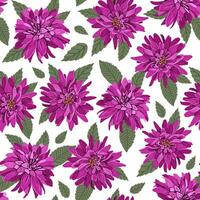 Seamless floral pattern of dahlia flowers on a white background. Vector hand drawn illustration. For fabrics, wallpaper, wrapping paper, bed linen.