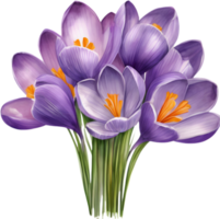 watercolor drawing of a bouquet of Crocus flowers. AI-Generated. png